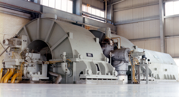 50 a�os, 50 aportaciones: D�cada de 1980