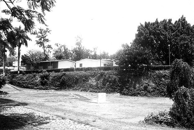 El INEEL y el Sector Energ�tico mexicano: rutas paralelas