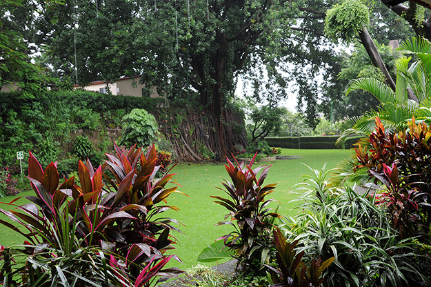 El INEEL y el Sector Energ�tico mexicano: rutas paralelas